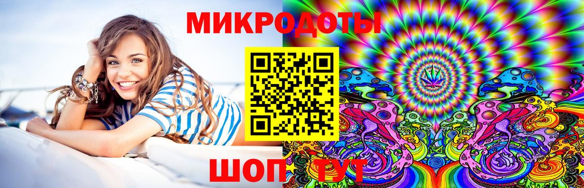 Псилоцибиновые грибы Psilocybine cubensis Саратов