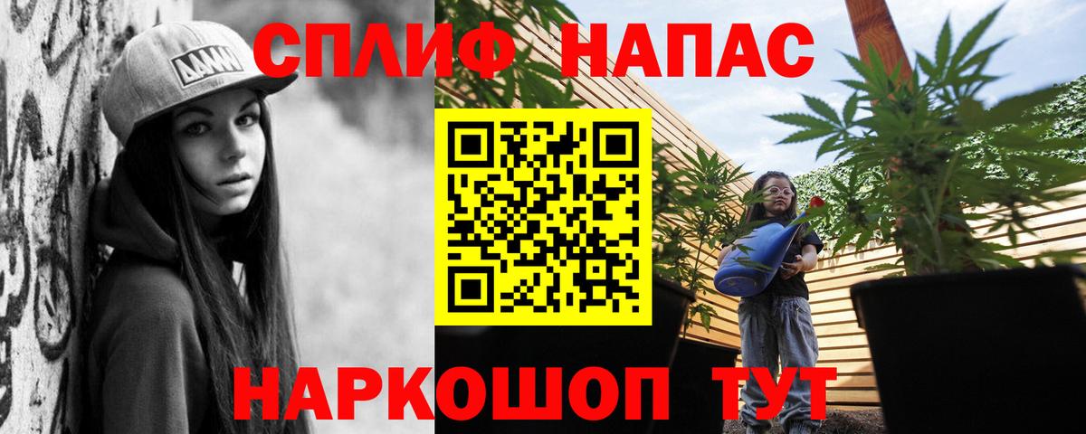 Бошки марихуана сатива Саратов